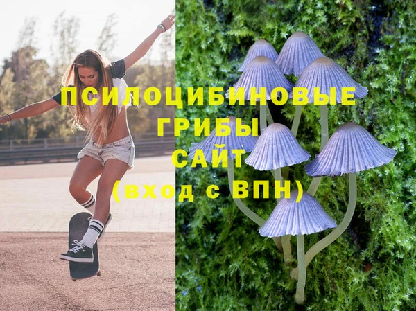 синтетический гашиш Алексеевка