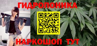 трава Бузулук