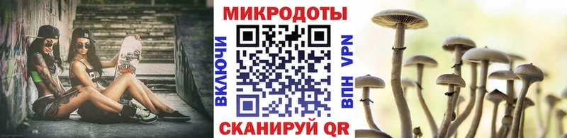 Псилоцибиновые грибы GOLDEN TEACHER  Кинель 