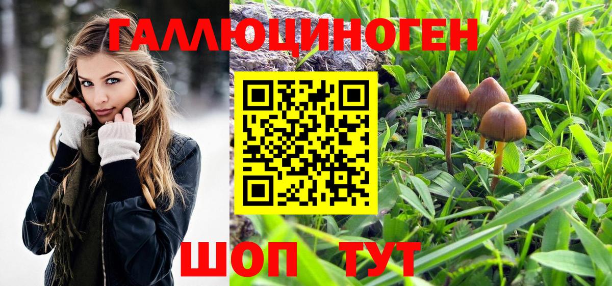 Кинель  Галлюциногенные грибы прущие грибы  Вход с VPN  Галлюциногенные грибы Cubensis 
