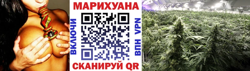 shop наркотические препараты что такое наркотик Кинель Бошки Шишки SATIVA & INDICA