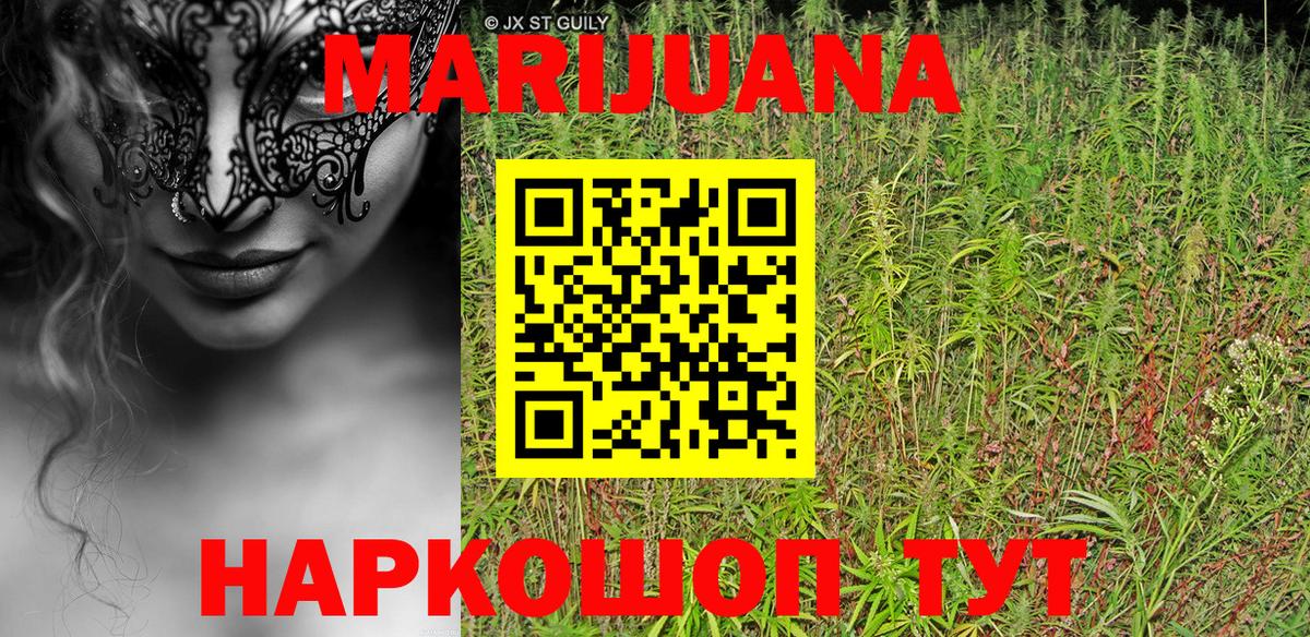 Конопля гибрид Кинель